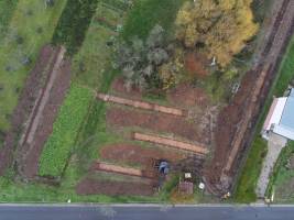 JEAN-CHARLES BRAUN - JEAN-CHARLES BRAUN