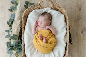 Elodie LAZAR - LAZAR PHOTOGRAPHIE